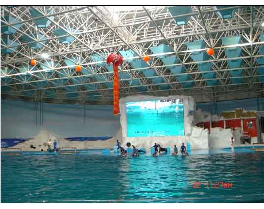 榆林游泳馆螺栓球网架